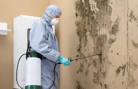 Best Air Quality Testing for Mold Spores  in El Portal, FL